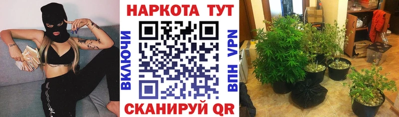Что такое Гаврилов Посад Гашиш Кокаин АМФ Бошки Шишки Меф мяу мяу
