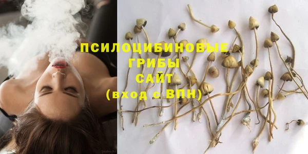 эйфоретик Баксан