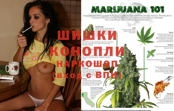 молекула духа Армянск