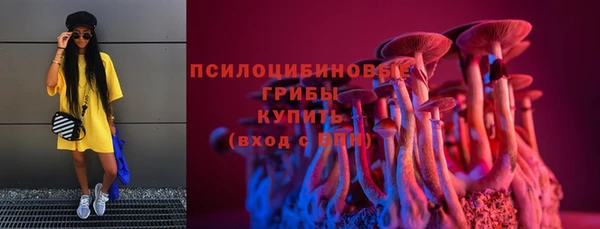 молекула духа Наволоки
