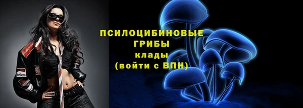 MDMA Premium VHQ Аркадак