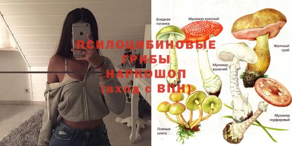 мескалин Арсеньев