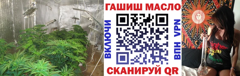 купить наркотик  Гаврилов Посад  KRAKEN как зайти  Дистиллят ТГК гашишное масло 